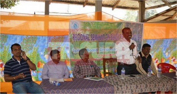 Seminar on black peeper arranges : 80 producers participated 